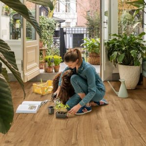 QUICKSTEP IMPRESSIVE ULTRA